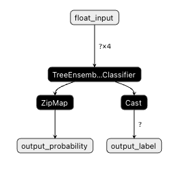 Netron visualization of the model